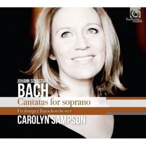 Download track 20. Mein Herze Schwimmt Im Blut, BWV 199 V. Recitativo Auf Diese Schmerzensreu Johann Sebastian Bach