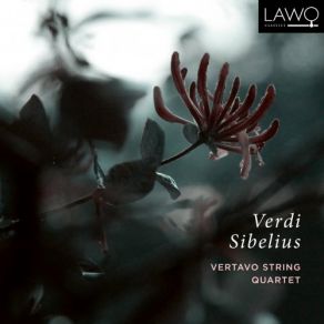 Download track String Quartet In E Minor II. Andantino Vertavo Quartet