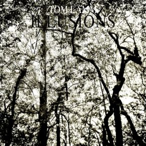 Download track Instinctive Tom Lamm