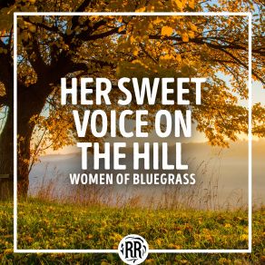 Download track The View The Roys