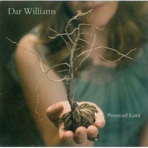 Download track Troubled Times Dar Williams