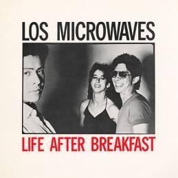 Download track Postponed Is Not Forgotten Los MicrowavesLos Microways