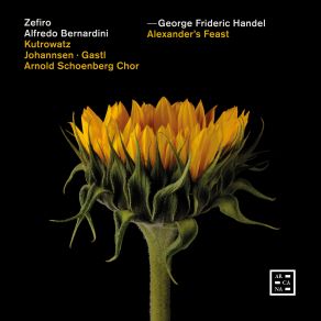 Download track Handel Alexander’s Feast, HWV 75, Act I Overture. Andante Daniel Johannsen, Arnold Schoenberg Chor, Alfredo Bernardini, Zefiro, Damien Gastl, Miriam Kutrowatz