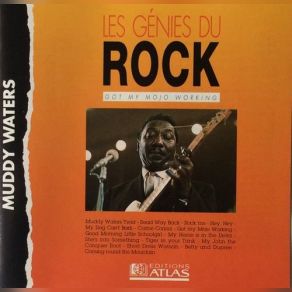 Download track Read Way Back Muddy Waters