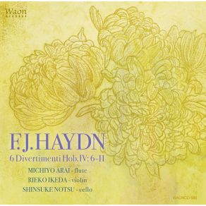 Download track Divertimento No. 5 In A Major Hob. IV 10 III. Tempo Di Menuetto Rieko Ikeda
