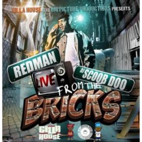Download track Fuck Ya Opinion Redman