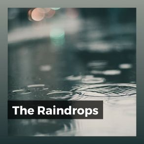 Download track Excursion In A Rainforest Rainforest Sounds