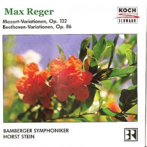 Download track Mozart-Variationen - Thema: Andante Grazioso Max Reger