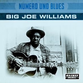 Download track Goin' Away, Won't Be Back Till Fall Joe Williams