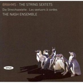 Download track BrahmsA. EString Sextet No. 2 In G Major, Op. 36 - IV. Poco Allegro Johannes Brahms