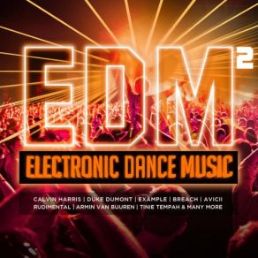 Download track How We Do (Party) (Laidback Luke Club Remix) Rita Ora