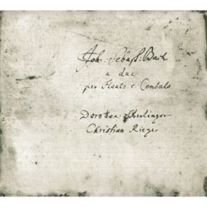 Download track 16. Präludium Fuge Und Allegro Es-Dur BWV 998: 1. Präludium Johann Sebastian Bach