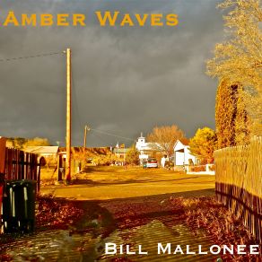 Download track Walking Disaster (Pale Light Of The New Dark Age) Bill Mallonee