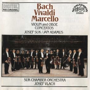 Download track A. Vivaldi, Concerto In D Major, Op. 3, RV 230 / III. Allegro Suk Chamber Orchestra