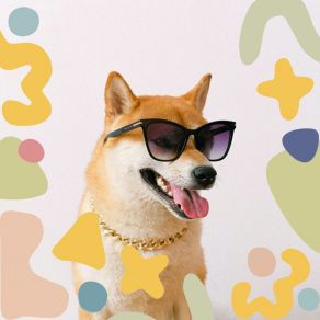 Download track Stylish Backdrops For Chill Dogs Relaxing Dogs