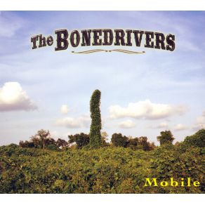 Download track It'S A Beautiful Thing The Bonedrivers