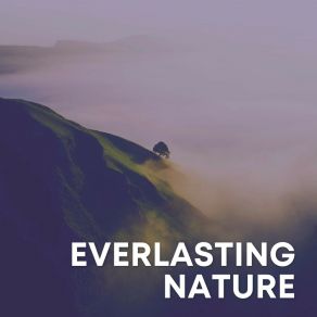 Download track Spring Bird Sounds Sounds Of Nature Noise
