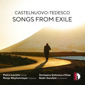 Download track Guitar Concerto No. 1 In D Major, Op. 99: I. Allegretto Pietro Locatto, Nadir Garofalo, Ronja Weyhenmeyer, Orchestra Sinfonica D'Este