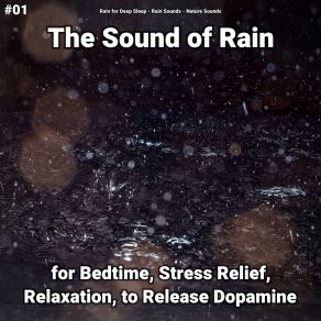 Download track Soothing Sounds To Fall Asleep Nature Sounds