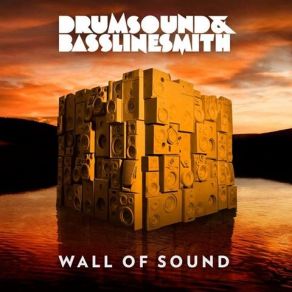 Download track What Can You Do For Me (Utah Saints Vs Drumsound & Bassline Smith) Drumsound, Simon Smith
