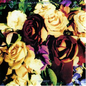 Download track Fools Paradise The Spiritual Cowboys, Dave Stewart