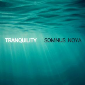 Download track Abiding Peace (432 Hz Tuning) Somnus NoyaKoyanuru