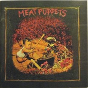 Download track I Got A Right Meat Puppets