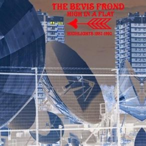 Download track I Can't Get Into Your Scene The Bevis Frond