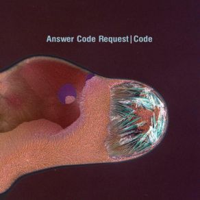 Download track Code Answer Code Request