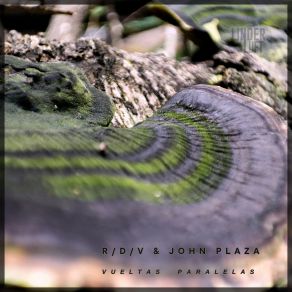 Download track Parallel Realities John Plaza
