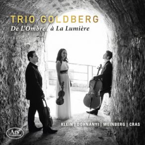 Download track Serenade In C Major, Op. 10: II. Romanza. Adagio Non Troppo, Quasi Andante Goldberg Trio