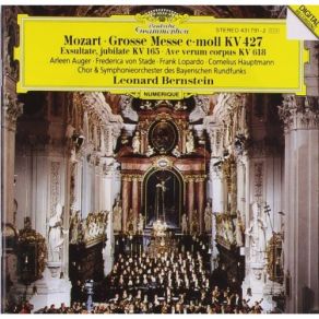 Download track Piano Concerto No. 15 In B Flat, K. 450: 3. Allegro Leonard Bernstein, Wiener Philarmoniker