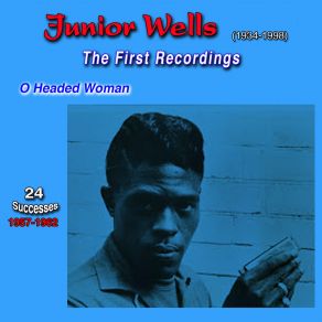 Download track Galloping Horses A Lazy Mule Junior Wells