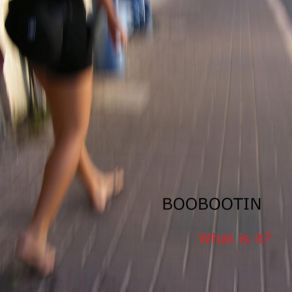 Download track First Class Boobootin - What Is It?
