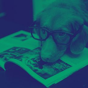 Download track Relaxing Ambiance For Relaxed Dogs Music For Dogs Peace