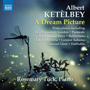 Download track The Shadow Of Dreams (Version For Piano) Rosemary Tuck