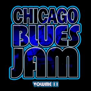 Download track Without A Friend Like You Chicago Blues Jam