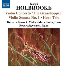 Download track Violin Concerto 'The Grasshopper', Op. 59 - I. Allegro Con Molto Fuoco Mark E. Smith, Robert Stevenson, Kerenza Peacock