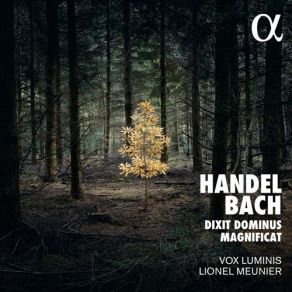 Download track 13. Handel: Dixit Dominus HWV 232 - I. Dixit Dominus Domino Meo Vox Luminis