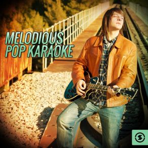 Download track Don't Forget Where You Belong (Karaoke Version) Vee Sing Zone