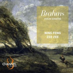 Download track 07. Violin Sonata No. 3 In D Minor, Op. 108 I. Allegro Johannes Brahms