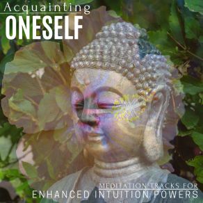 Download track Pleasurable Time Healing Music For Inner Harmony And PeacefulnessBliss