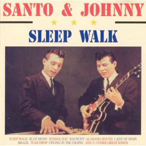Download track Theme From A Summer Place Santo & Johnny