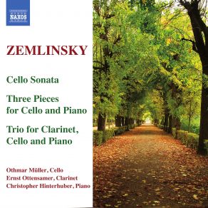 Download track Trio For Clarinet, Cello And Piano In D Minor, Op. 3 - III. Allegro Ernst Ottensamer, Alexander Zemlinsky, Othmar Muller, Christopher Hinterhuber