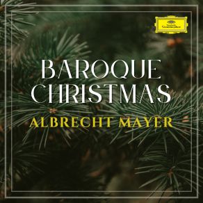 Download track Johann Sebastian Bach, Concerto For 2 Violins, Strings, And Continuo In D Minor, BWV 1043 - 2. Largo Ma Non Tanto (Transcr. For Oboe And Violin) Albrecht MayerJohann Sebastian Bach
