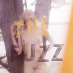 Download track Mode Mode Aslak Hartberg's The Fuzz