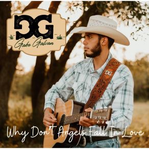 Download track Why Don't Angels Fall In Love Gabe Galvan