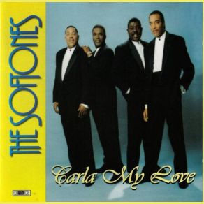 Download track We Don't Know How To Say Goodbye The Softones