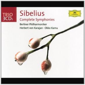 Download track Sibelius Symphony No. 6 In D Minor, Op. 104 - III. Poco Vivace Herbert Von Karajan, Berliner Philharmoniker