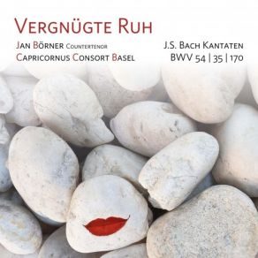 Download track 06. Geist Und Seele Wird Verwirret, BWV 35 III. Recitativo. Ich Wundre Mich Johann Sebastian Bach